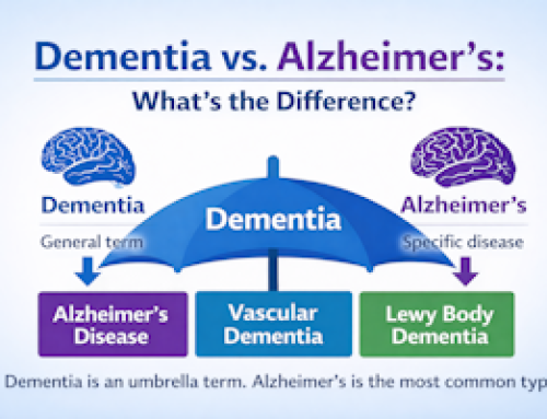 The Difference Between Dementia and Alzheimer’s